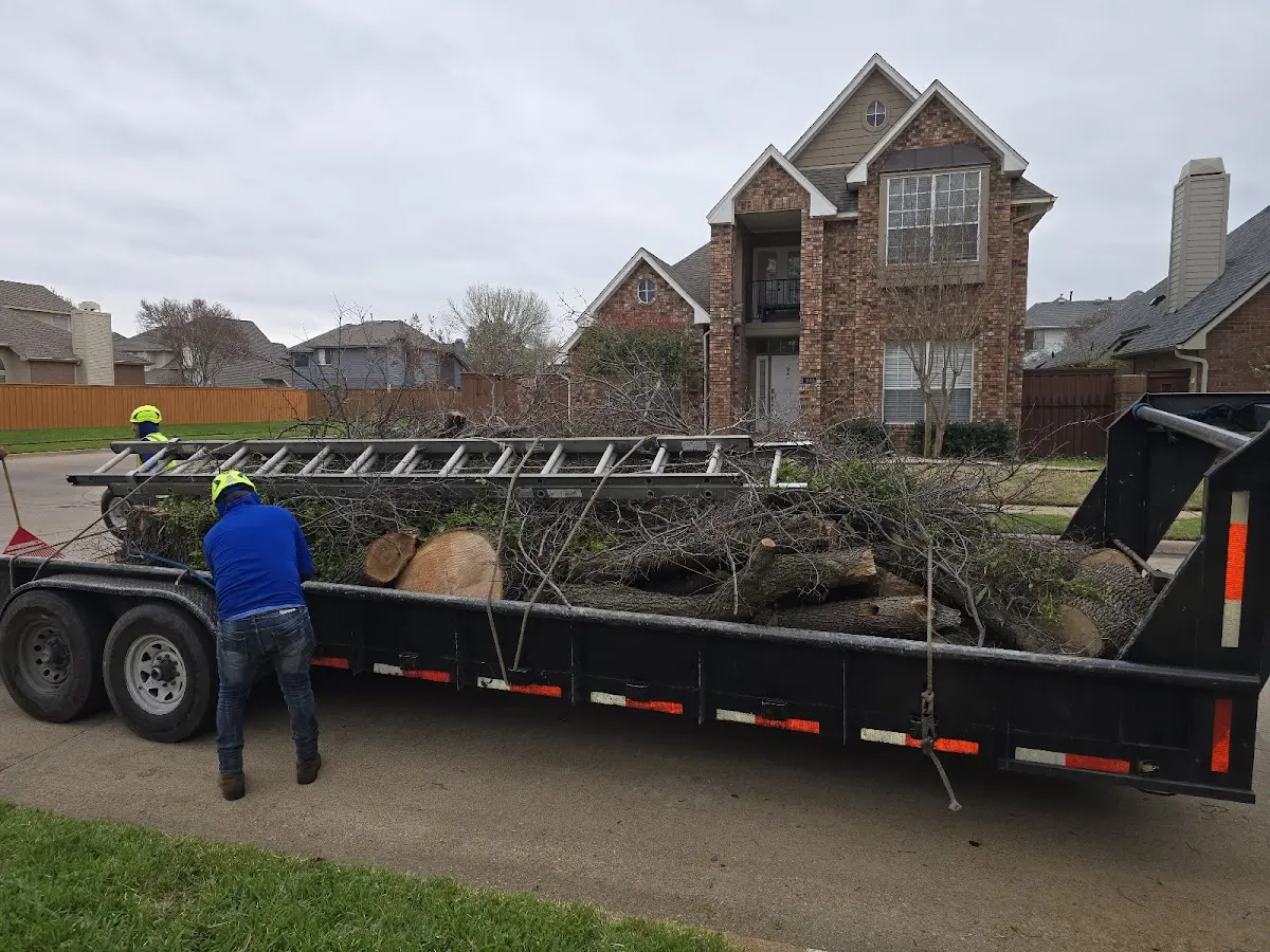 Expert Lot Clearing with proper safety equipment in Metamora